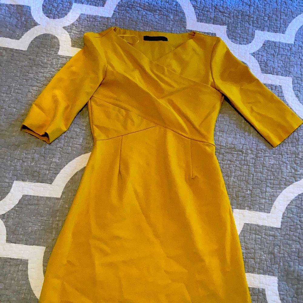 Mustard Zara dress